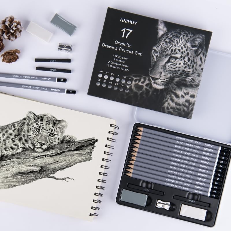HNIHUY Professional Sketch Pencils Set, 17 Pcs, Graphite Pencils (8B-4H), Erasers and Sharpener, Art Drawing Pencil for Artists Beginner Sketching