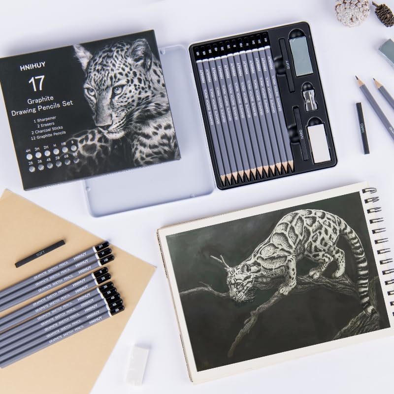 HNIHUY Professional Sketch Pencils Set, 17 Pcs, Graphite Pencils (8B-4H), Erasers and Sharpener, Art Drawing Pencil for Artists Beginner Sketching