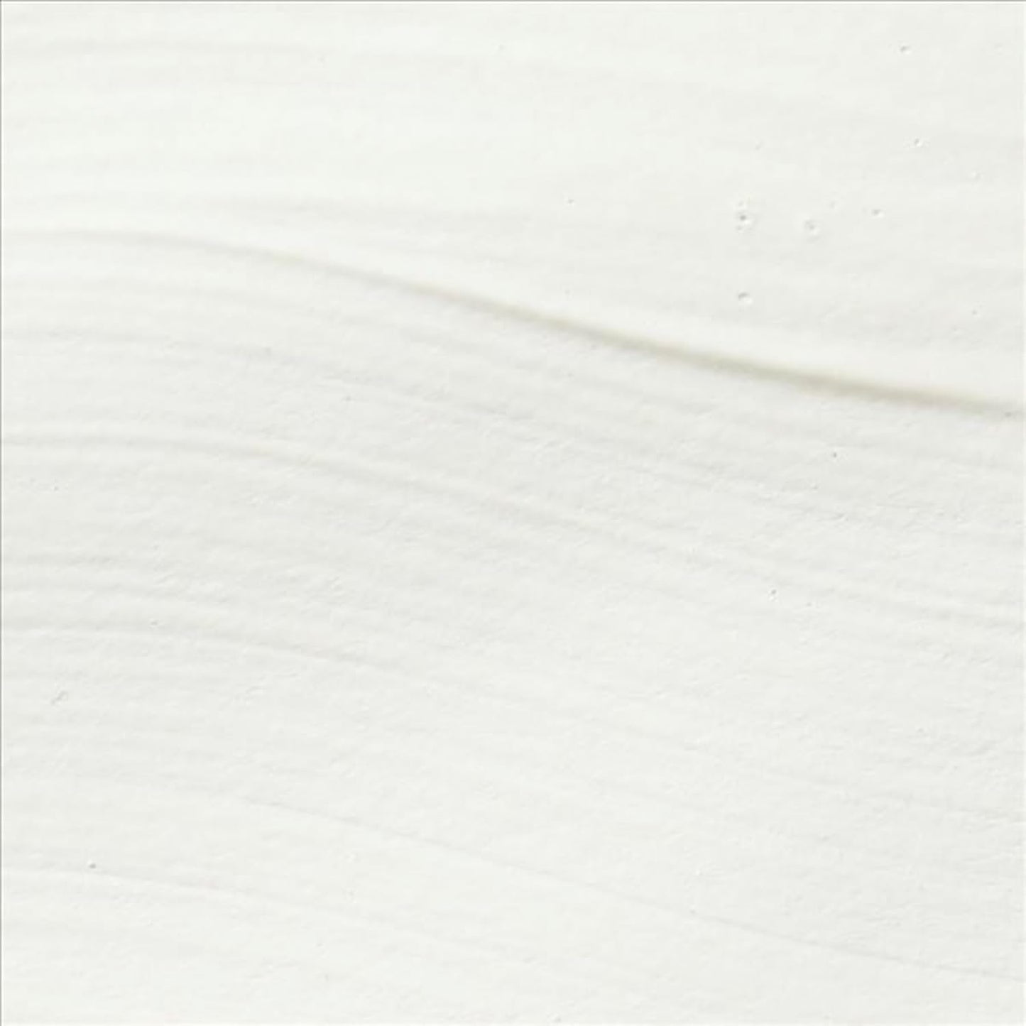 Sax True Flow Heavy Body Acrylic Paint, 1/2 Gallon, Titanium White - 439301, 64 Fl Oz (Pack of 1)