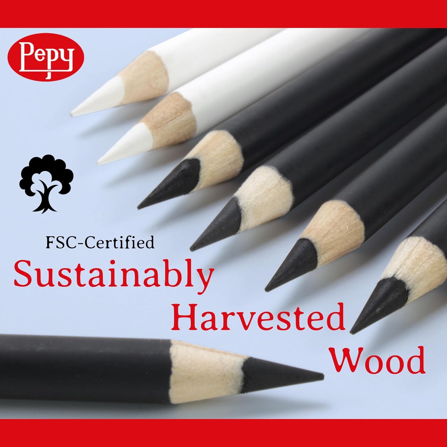 Pepy Professional Hard Charcoal Pencil Set – Set of 6 Pre-Sharpened Black Charcoal Pencils; Perfect for Drawing, Sketching, Blending and Shading
