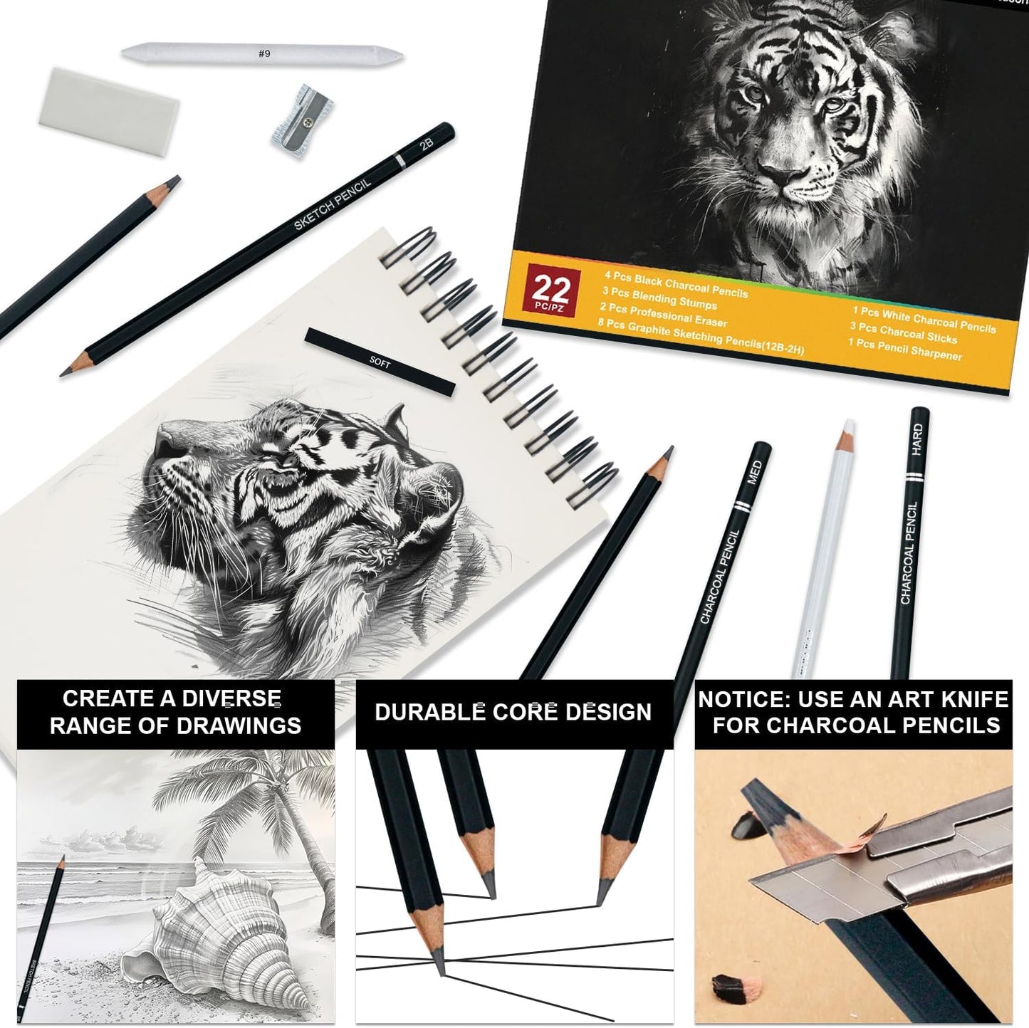 Aenir Charcoal Pencils for Drawing, 22-Piece Sketch Pencils for Drawing Set | Drawing Pencils for Sketching, Shading, Charcoal Art Supplies for Kids, Teens, Adults, Art Students, Beginners & Pro Artists.