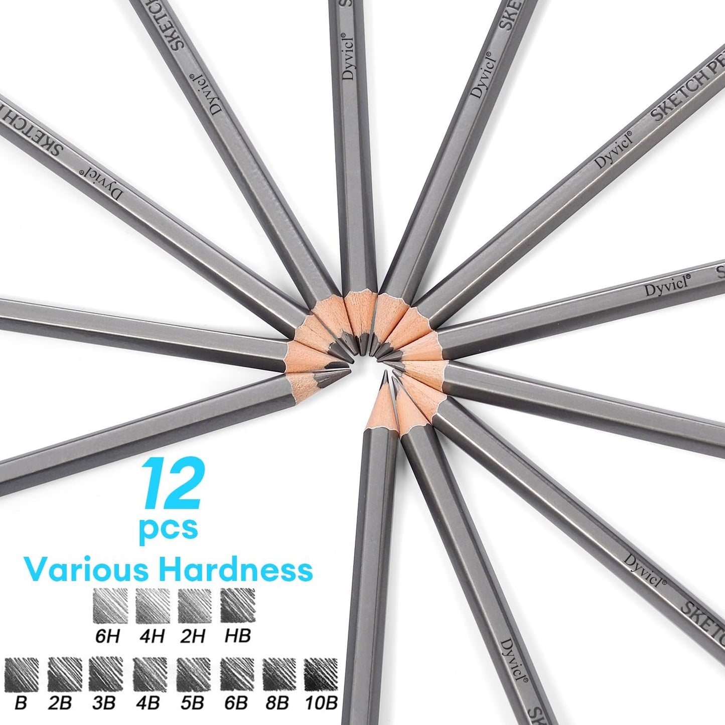Dyvicl Professional Drawing Sketching Pencil Set - 12 Pieces Drawing Pencils 10B, 8B, 6B, 5B, 4B, 3B, 2B, B, HB, 2H, 4H, 6H Graphite Pencils for Kids, Beginners, Pro Artists