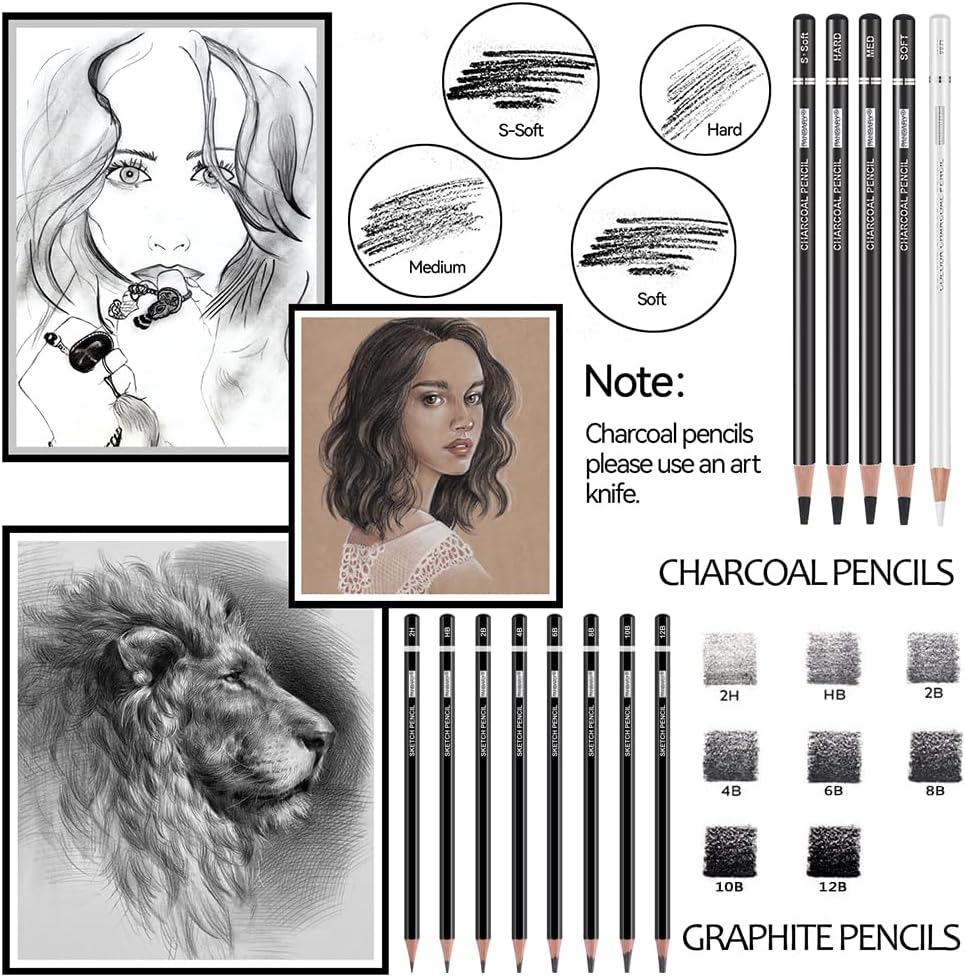 PANDAFLY Drawing Sketching Pencil Set, 22 Piece, Graphite Pencils (12B-2H) | Pro Art Pencil Kit with Black and White Charcoal Pencils, Charcoal Sticks, Stumps, Eraser, Sharpeners, Sketch Set for Artists
