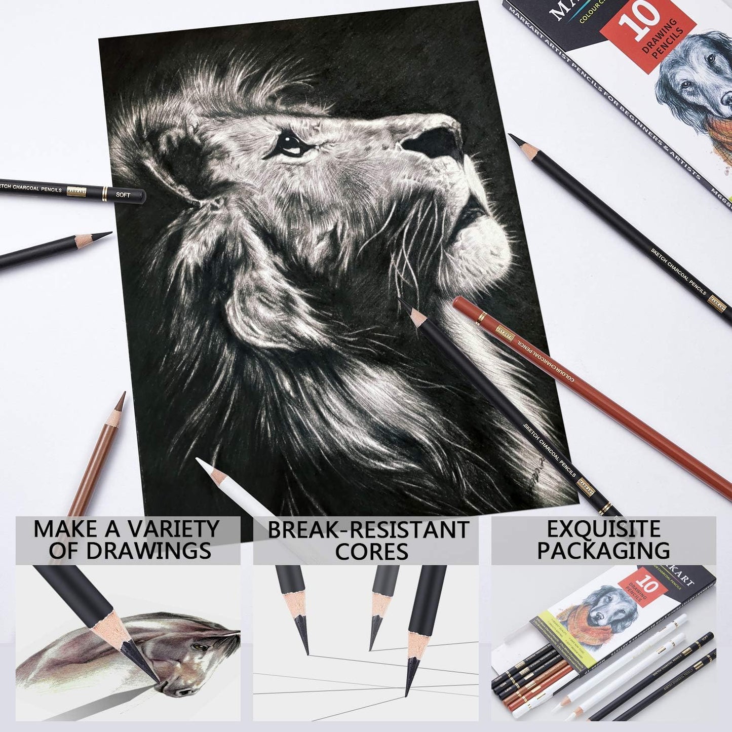 MARKART 10 Pack Professional Charcoal Pencils for Drawing | Black & White Charcoal Pencils for Sketching, Shading, Blending, Portrait, Pastel Chalk Pencils for Beginners & Artists