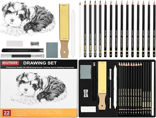 22 PCS Drawing Sketching Pencil Set, Graphite Pencils (10B-6H) | Charcoal Sticks, Blending Stumps, Erasers, Pencil Sharpeners, Drawing Sketching Pencil, Art Pencils for Beginners & Artists